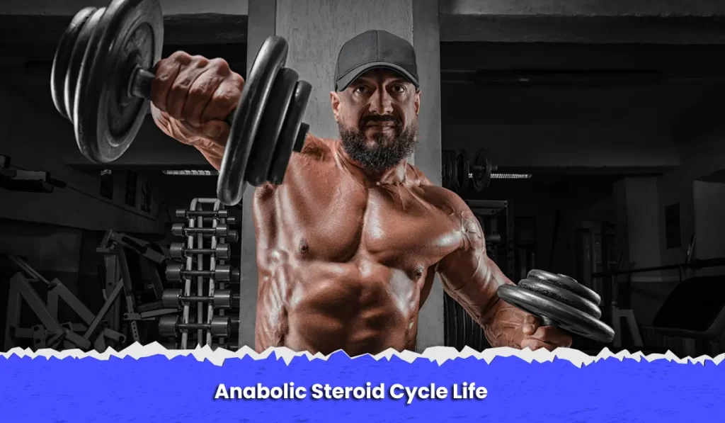 Anabolic Steroid Cycle Life