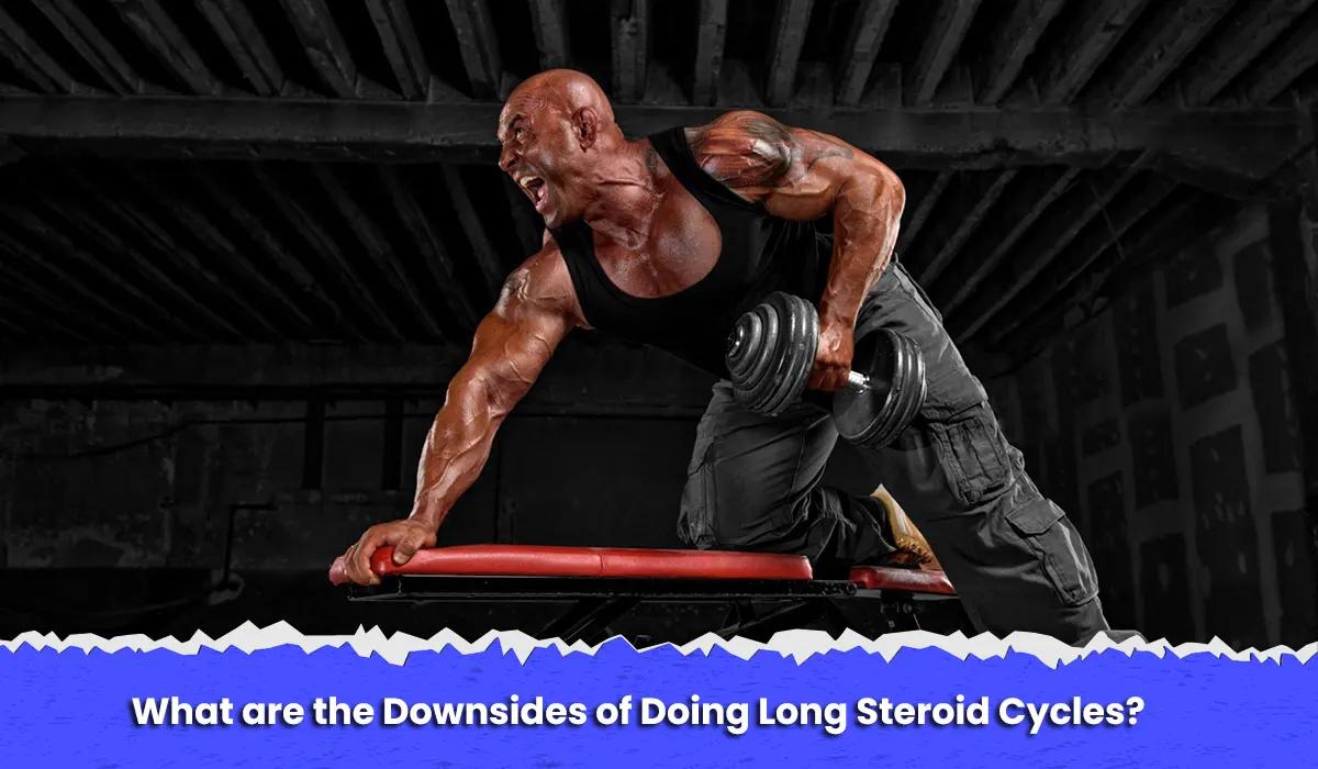 Anabolic Steroid Cycle Life