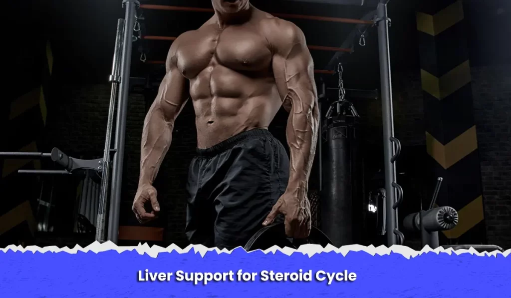 Liver Support for Steroid Cycle
